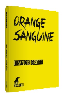 UNE NOUVELLE ENQUETE DE STANISLAS BARBERIAN A BINCHE
