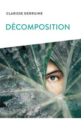 DECOMPOSITION