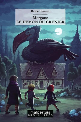 LE DEMON DU GRENIER
