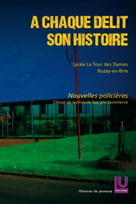 A CHAQUE DELIT SON HISTOIRE : NOUVELLES POLICIERES, CLASSE DE TERMINALE, BAC PRO COMMERCE