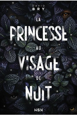 LA PRINCESSE AU VISAGE DE NUIT