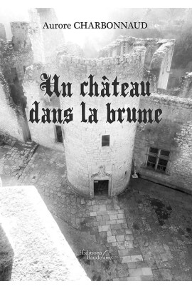 UN CHATEAU DANS LA BRUME
