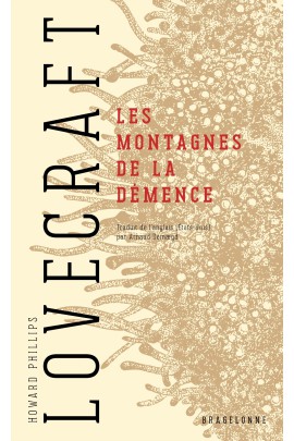 LES MONTAGNES DE LA DEMENCE