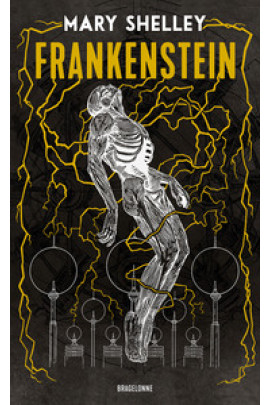 FRANKENSTEIN OU LE PROMETHEE MODERNE