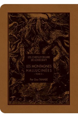 LES MONTAGNES HALLUCINEES