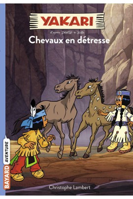   - CHEVAUX EN DETRESSE