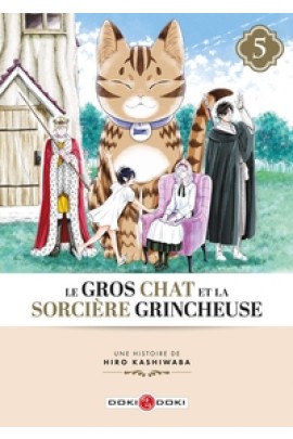 LE GROS CHAT ET LA SORCIERE GRINCHEUSE T05