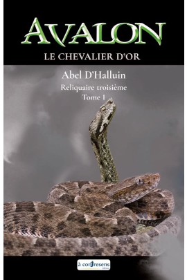 AVALON  LE CHEVALIER D'OR : RELIQUAIRE TROISIEME T1